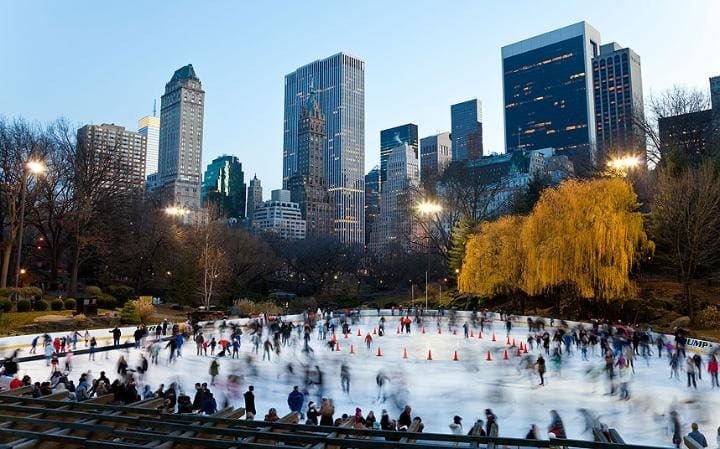 Inverno em Nova York: Central Park