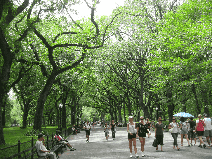 Central Park em Nova York 