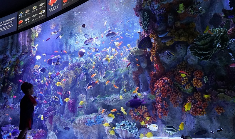 Aquário New England Aquarium em Boston