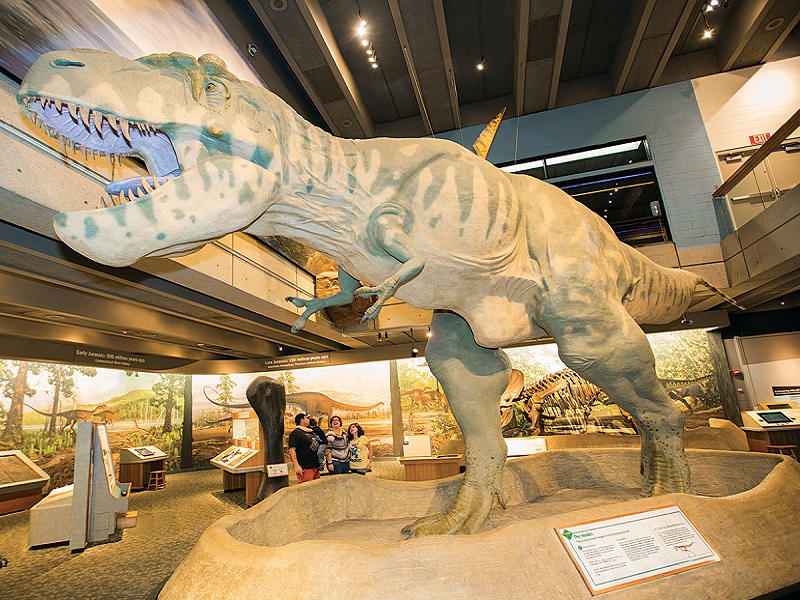 Dinossauro exposto no Museum of Science em Boston