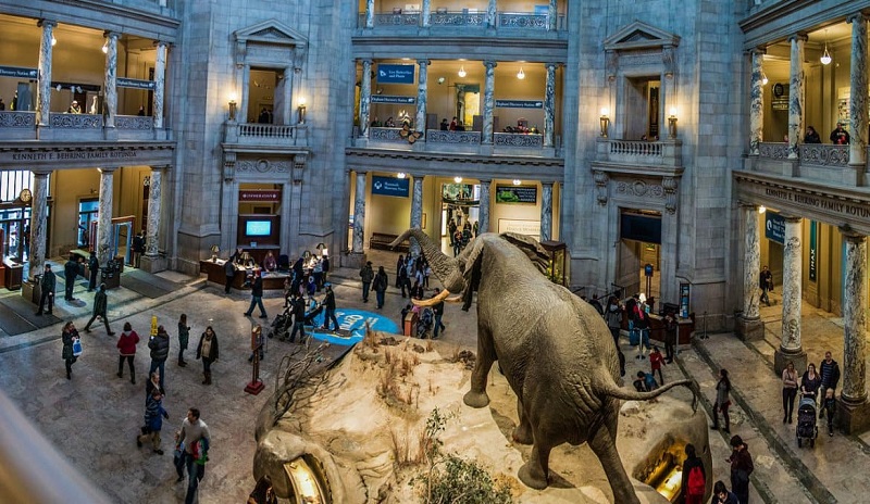 Museu National Museum of Natural History em Washington