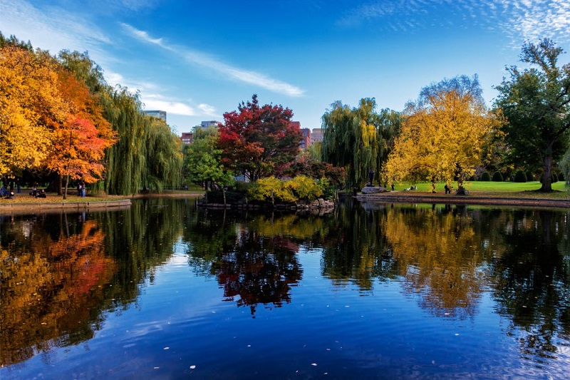 Parque Common em Boston no outono 