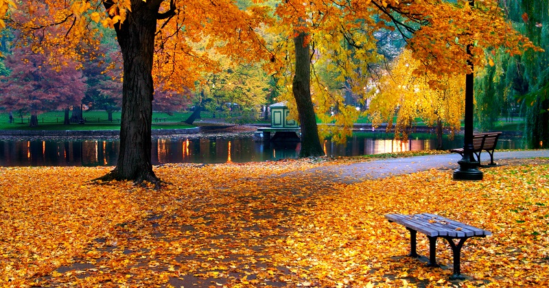 Paisagem natural do outono em Boston