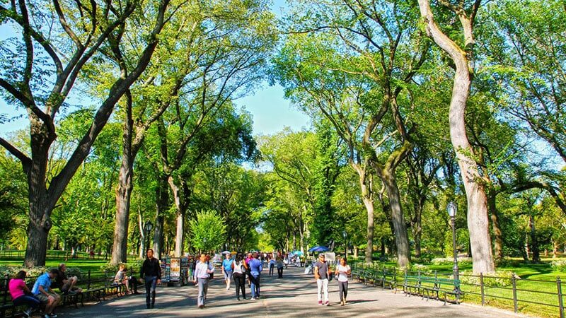 O que fazer no verão em Nova York