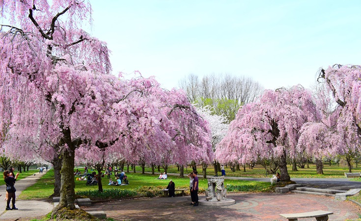 Como é a primavera na Filadélfia