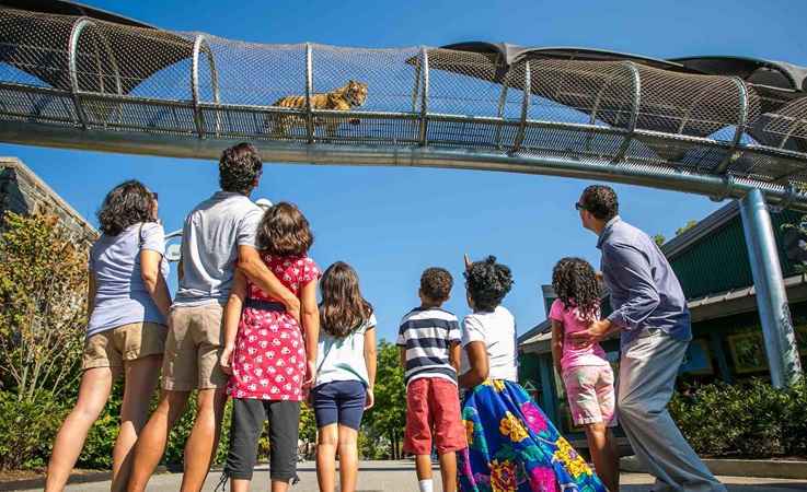 Passeios para toda a família na Filadélfia